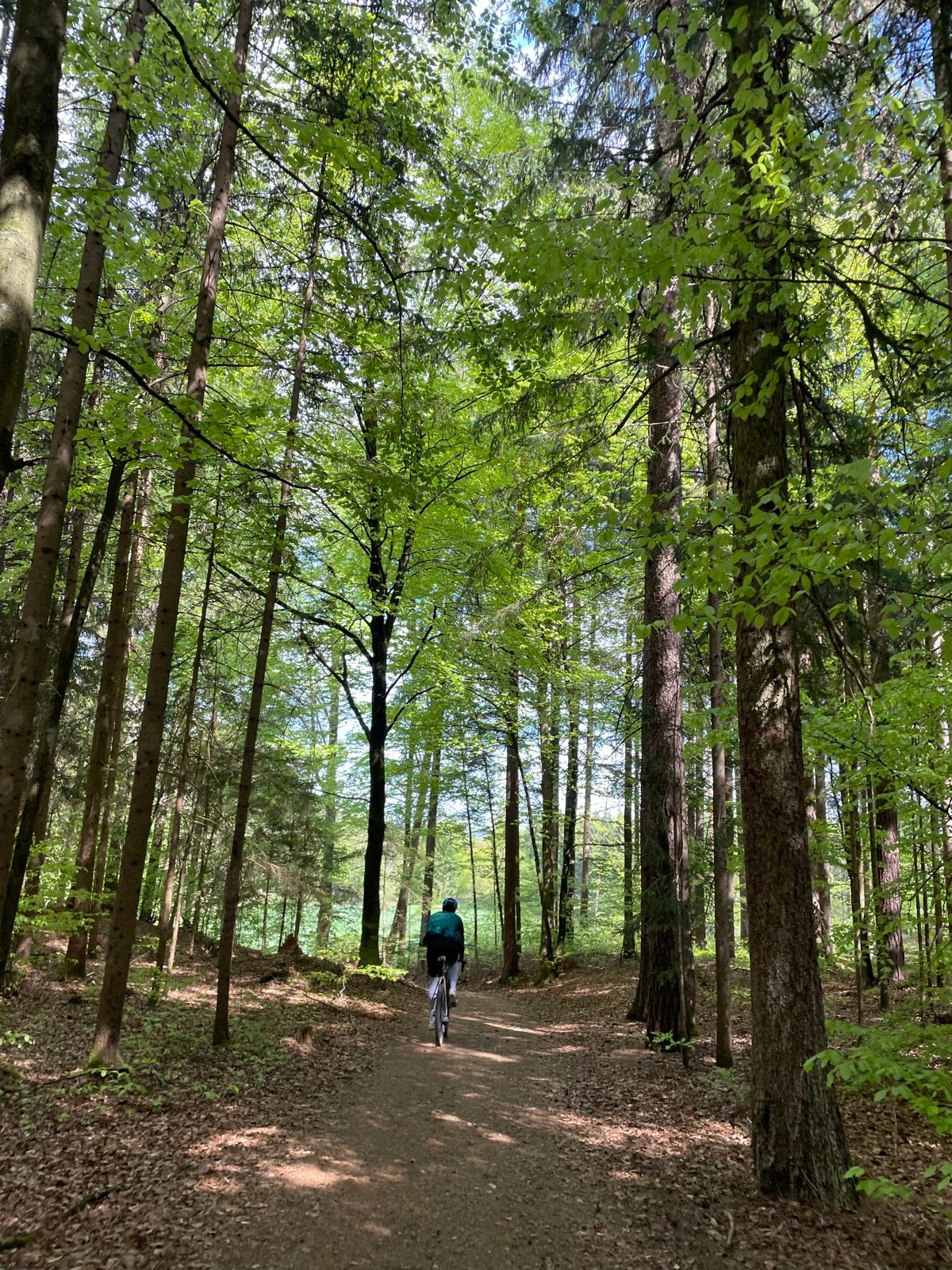 Nice Gravel Tour with Izidor around Pörtschach