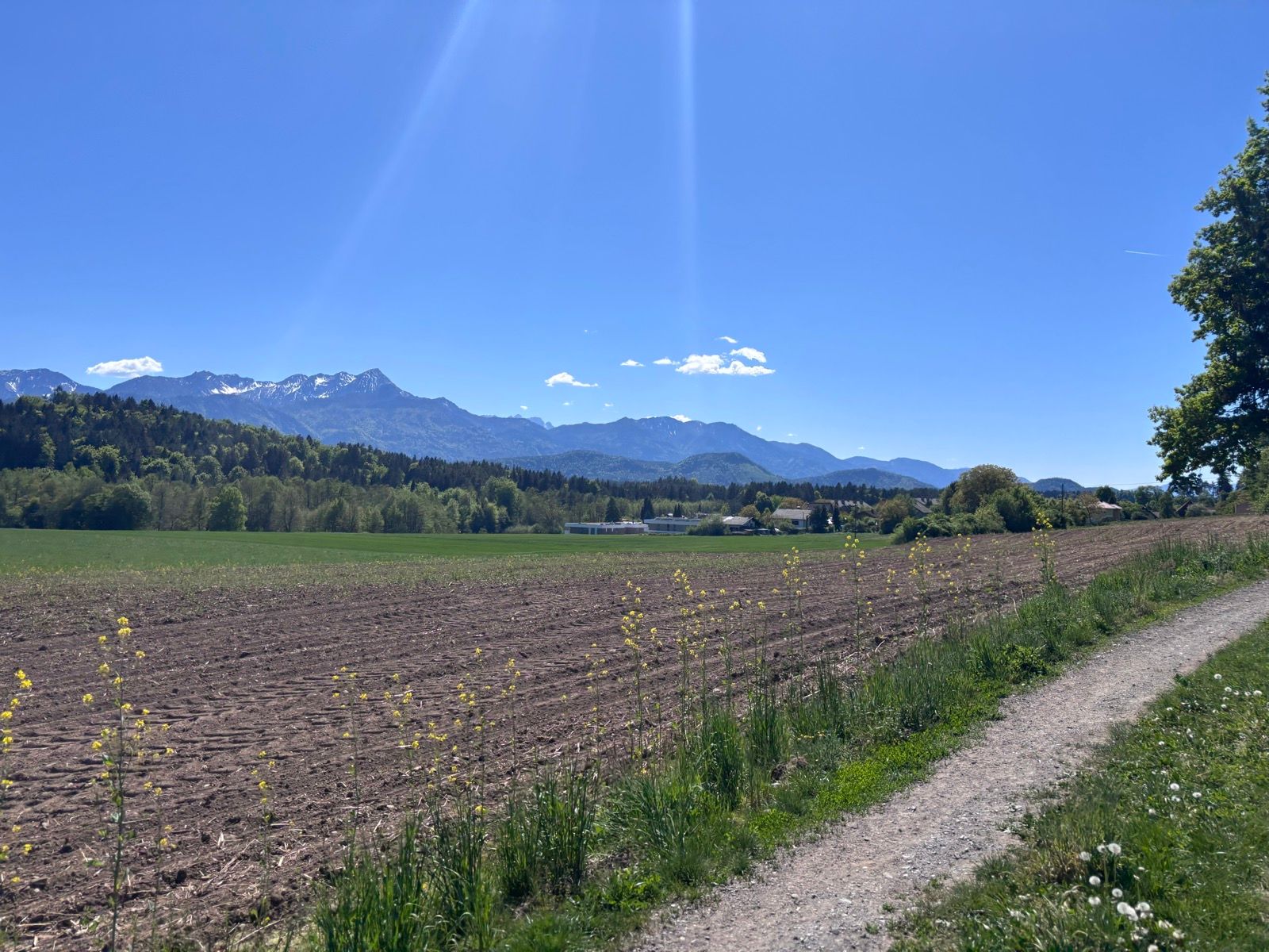 Saturdays (every other) PAGO gravel adventure ride. Exploring