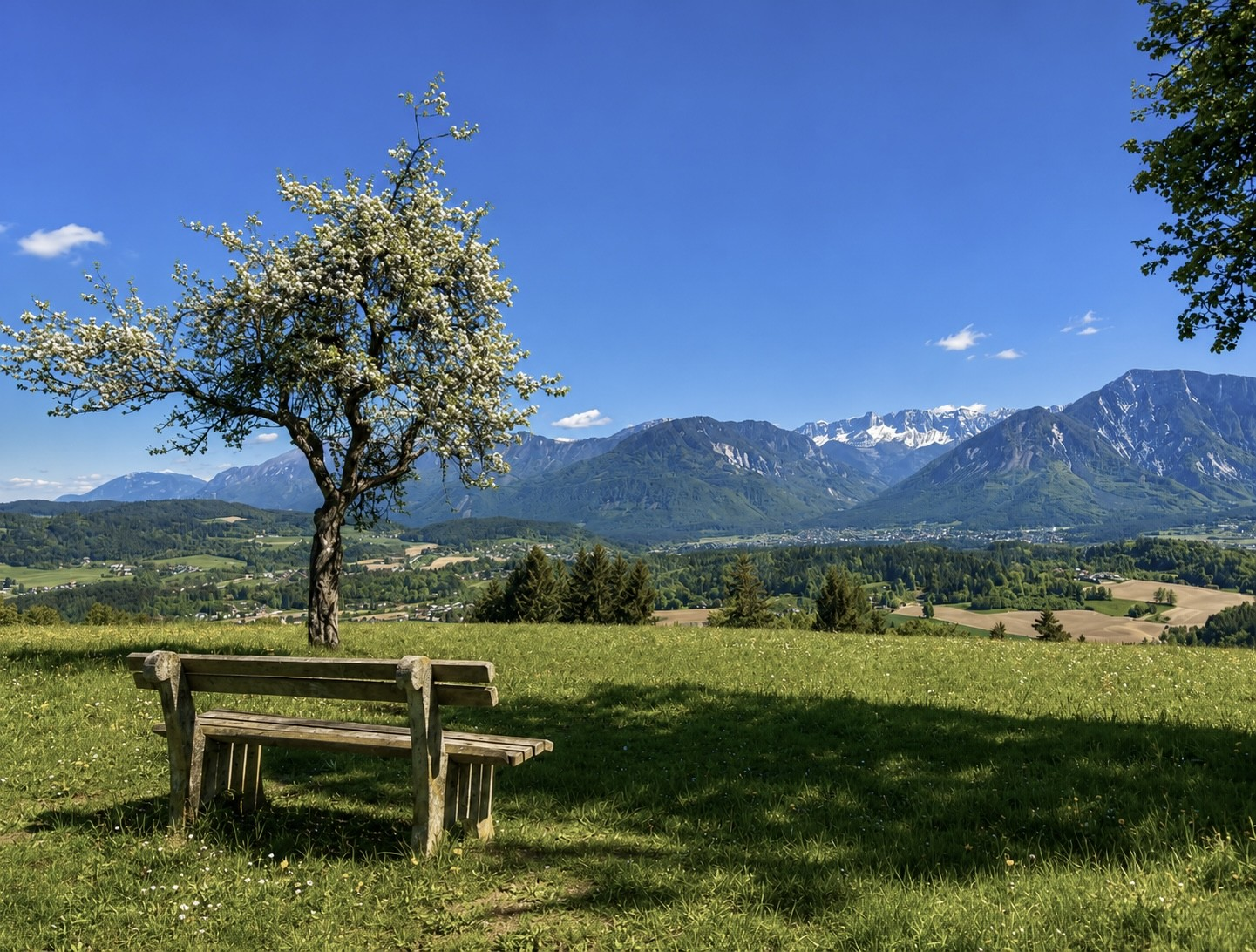 MTB Tour south of Klagenfurt/AT. Steep climbs, cool